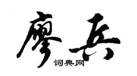 胡问遂廖兵行书个性签名怎么写