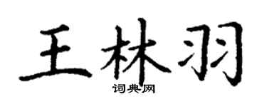 丁谦王林羽楷书个性签名怎么写