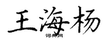 丁谦王海杨楷书个性签名怎么写
