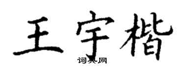 丁谦王宇楷楷书个性签名怎么写