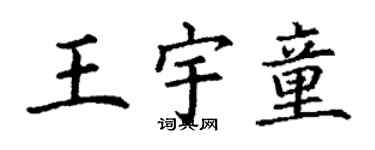 丁谦王宇童楷书个性签名怎么写