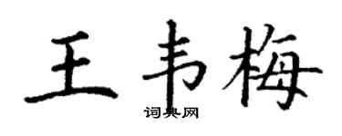 丁谦王韦梅楷书个性签名怎么写