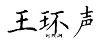 丁谦王环声楷书个性签名怎么写