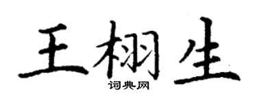 丁谦王栩生楷书个性签名怎么写