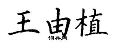 丁谦王由植楷书个性签名怎么写