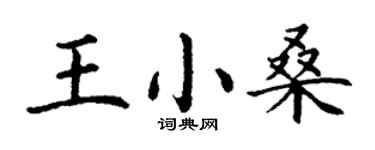 丁谦王小桑楷书个性签名怎么写