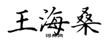 丁谦王海桑楷书个性签名怎么写