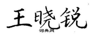 丁谦王晓锐楷书个性签名怎么写