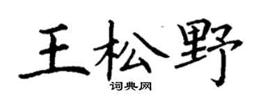 丁谦王松野楷书个性签名怎么写