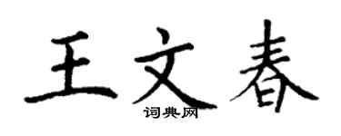 丁谦王文春楷书个性签名怎么写