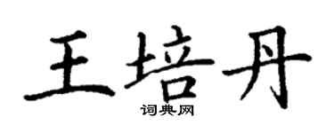 丁谦王培丹楷书个性签名怎么写