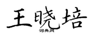 丁谦王晓培楷书个性签名怎么写
