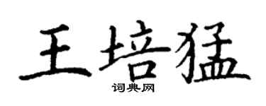丁谦王培猛楷书个性签名怎么写