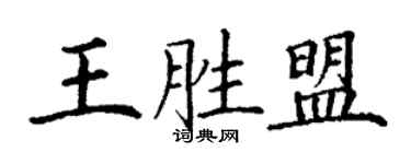 丁谦王胜盟楷书个性签名怎么写