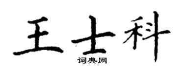丁谦王士科楷书个性签名怎么写