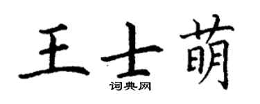 丁谦王士萌楷书个性签名怎么写