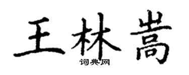 丁谦王林嵩楷书个性签名怎么写