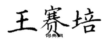 丁谦王赛培楷书个性签名怎么写