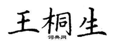 丁谦王桐生楷书个性签名怎么写