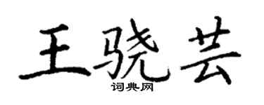 丁谦王骁芸楷书个性签名怎么写