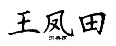 丁谦王凤田楷书个性签名怎么写