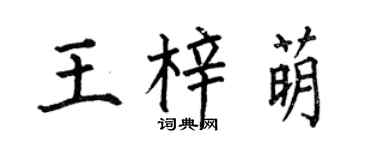 何伯昌王梓萌楷书个性签名怎么写