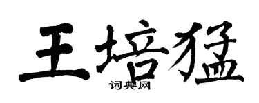 翁闿运王培猛楷书个性签名怎么写