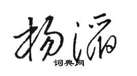 骆恒光杨滔草书个性签名怎么写