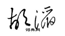 骆恒光胡滔草书个性签名怎么写