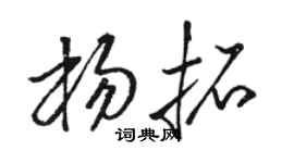 骆恒光杨拓草书个性签名怎么写