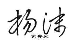骆恒光杨沫草书个性签名怎么写