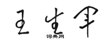 骆恒光王生军草书个性签名怎么写