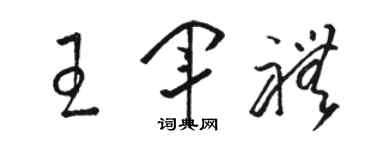 骆恒光王军礼草书个性签名怎么写