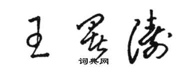 骆恒光王署涛草书个性签名怎么写