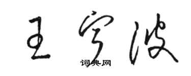 骆恒光王宁波草书个性签名怎么写