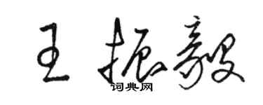 骆恒光王振毅草书个性签名怎么写