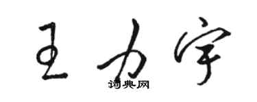 骆恒光王力宇草书个性签名怎么写