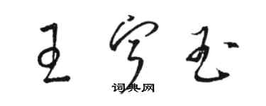 骆恒光王宁玉草书个性签名怎么写
