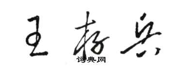 骆恒光王存兵草书个性签名怎么写