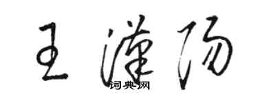 骆恒光王汉阳草书个性签名怎么写