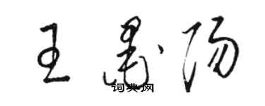 骆恒光王墨阳草书个性签名怎么写