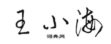 骆恒光王小海草书个性签名怎么写