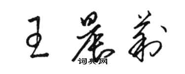 骆恒光王晨莉草书个性签名怎么写