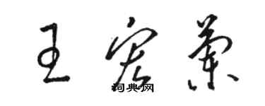 骆恒光王宏兰草书个性签名怎么写