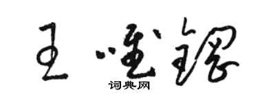 骆恒光王唯钢草书个性签名怎么写