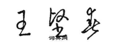 骆恒光王坚春草书个性签名怎么写