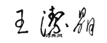 骆恒光王洁晶草书个性签名怎么写