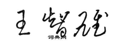 骆恒光王智雄草书个性签名怎么写
