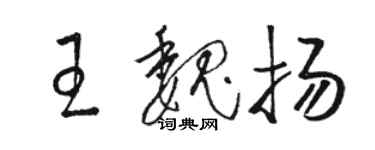 骆恒光王魏扬草书个性签名怎么写