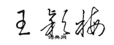 骆恒光王颖梅草书个性签名怎么写
